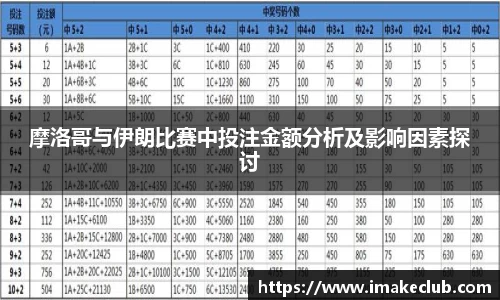 摩洛哥与伊朗比赛中投注金额分析及影响因素探讨